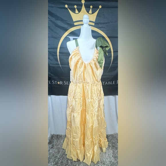 NWT Hutch Scoop-Neck Tiered Maxi Dress - Picture 5 of 8